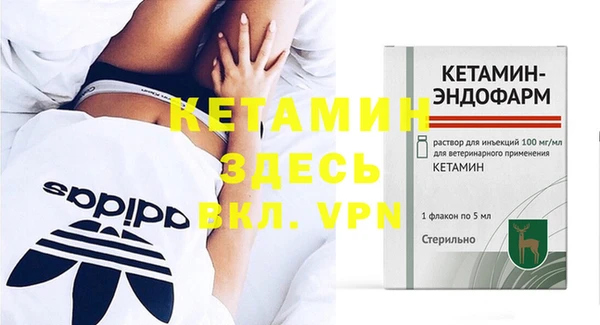 прущие грибы Балабаново