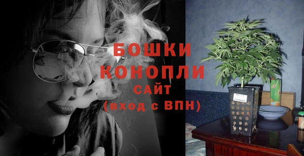 прущие грибы Балабаново