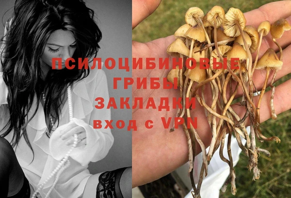 прущие грибы Балабаново