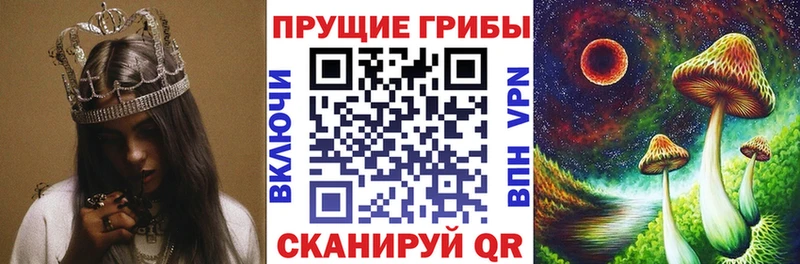 Галлюциногенные грибы Psilocybe  Юрьев-Польский 